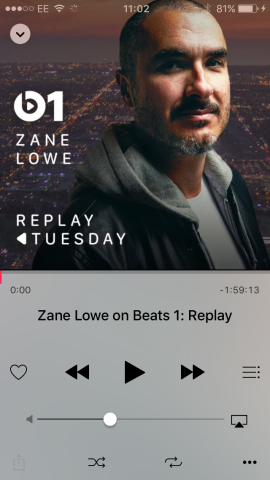 zanelowe