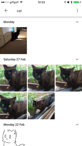 Google Photos Search