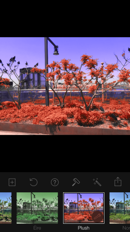 Some filters are more drastic, but also more varied than other apps. Check out what it does to green shrubbery and a bright blue sky.