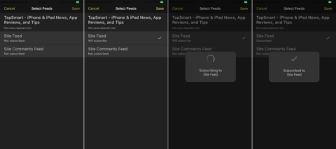 Feed Hawk will then automatically seek-out the feed address and add it to your RSS account.