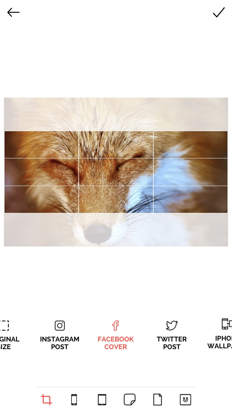 Review Font Candy Photo Editor Create beautiful designs in seconds