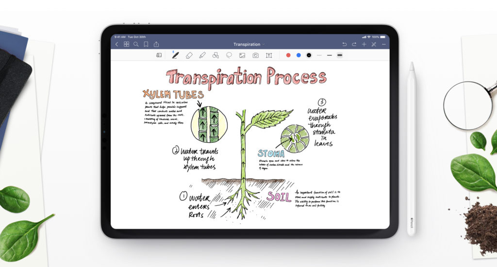 Ghi chú, làm bài tập, vẽ vời - Một số Mẹo dùng GoodNotes trên iPad tối ưu nhất