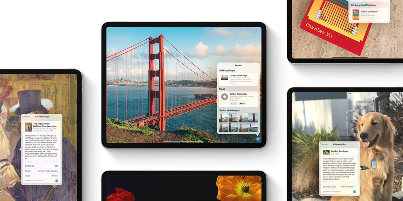 Visual Lookup Learn About Your Photo Subjects iPadOS 17 Tips TapSmart