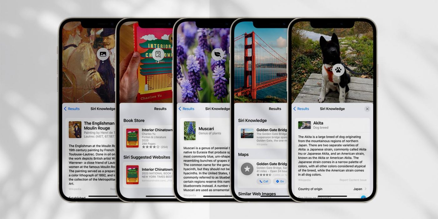 Visual Look Up: Learn About Your Photo Subjects | iOS 17 Tips - TapSmart