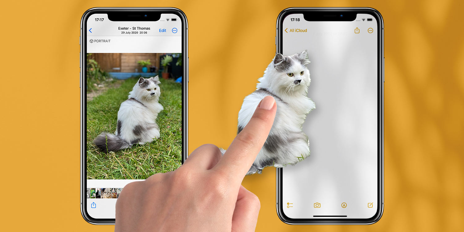 Select Subject in iOS 16: remove the background of a photo | iOS 16 Guide -  TapSmart