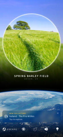 Swooshy grass in Portal.