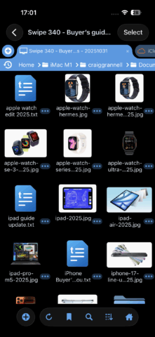 filebrowser professional
